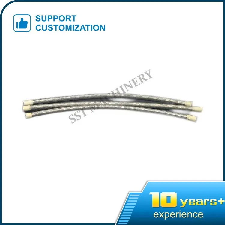 SS304 Örgü PTFE Hortum