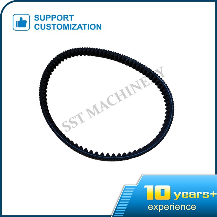 Serpantin Kayışlı Motor